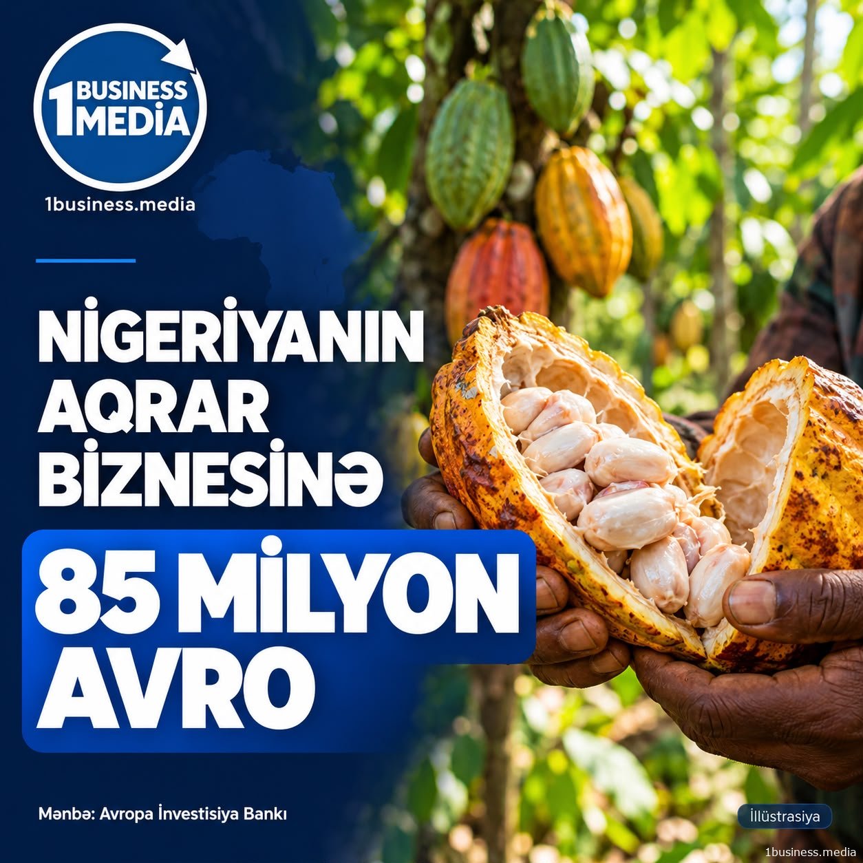 Nigeriyada kakao və süd biznesinə maliyyə dəstəyi